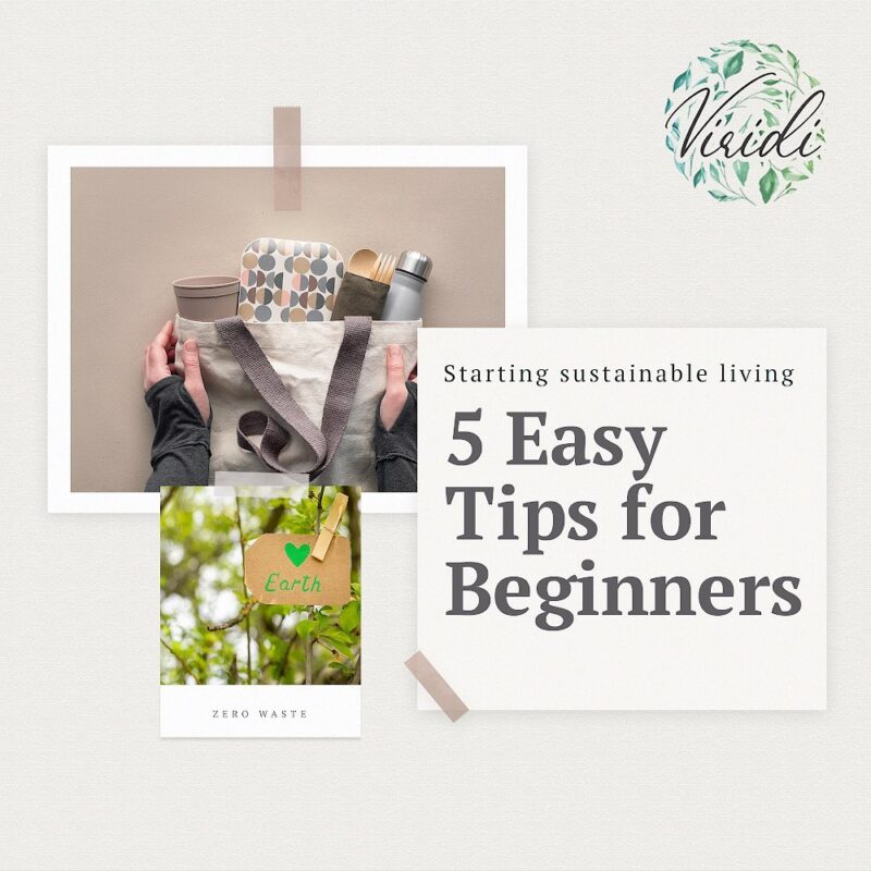 viridi-festival-sustainable-tips viridi-festival-sustainable-tips